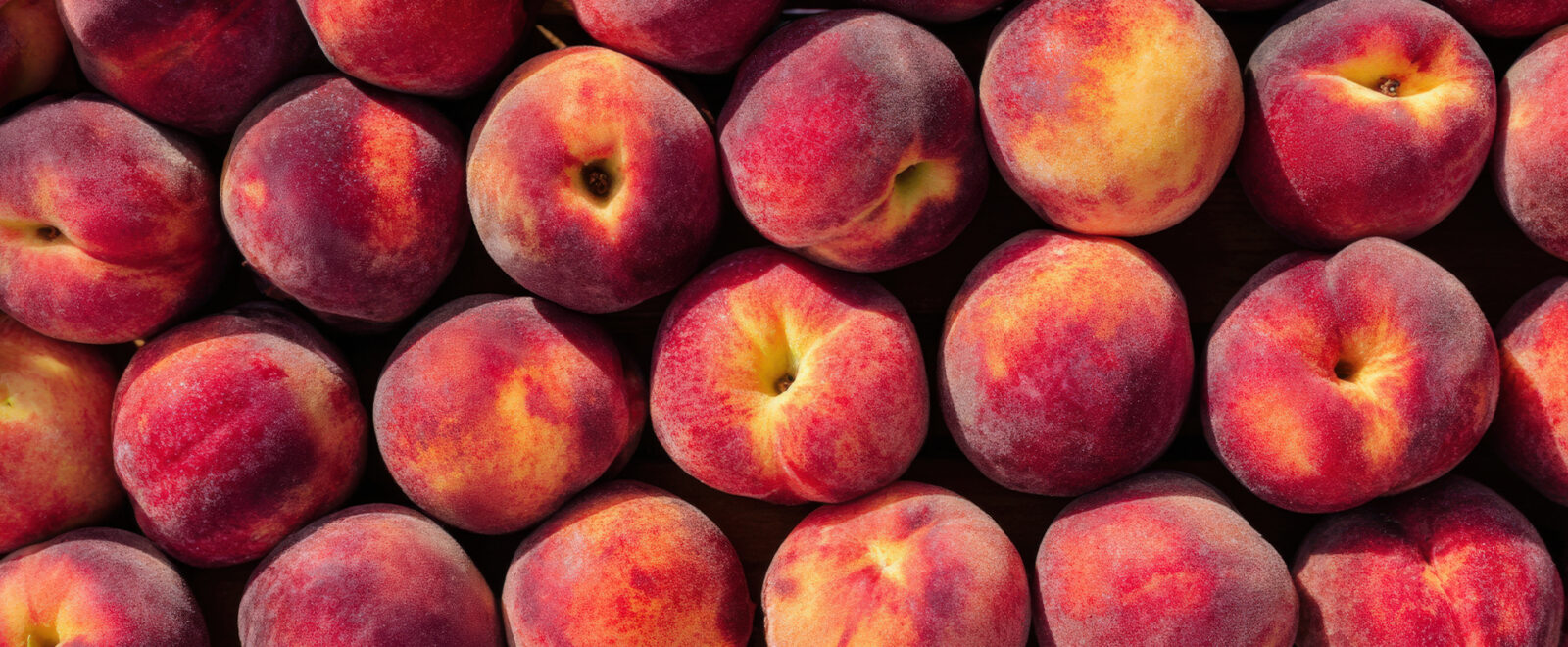 Frutas de outubro: 4 opções deliciosas em alta nessa safra